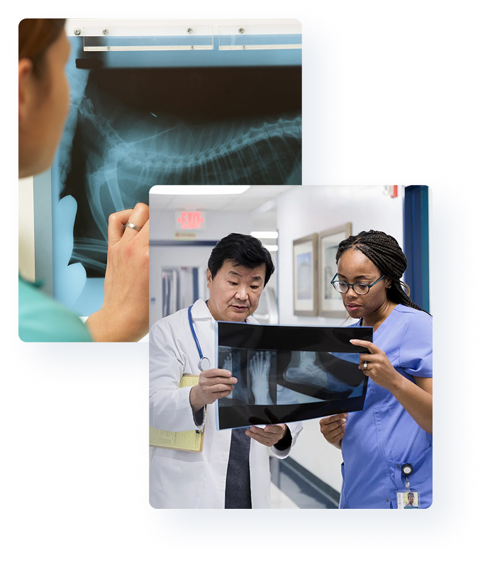 doctors reviewing x-rays