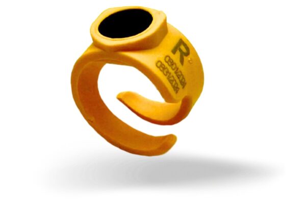 OSL Ring